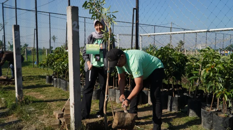 Perkuat Komitmen Hijau, Pegadaian Kanwil XII Surabaya Tanam 240 Pohon