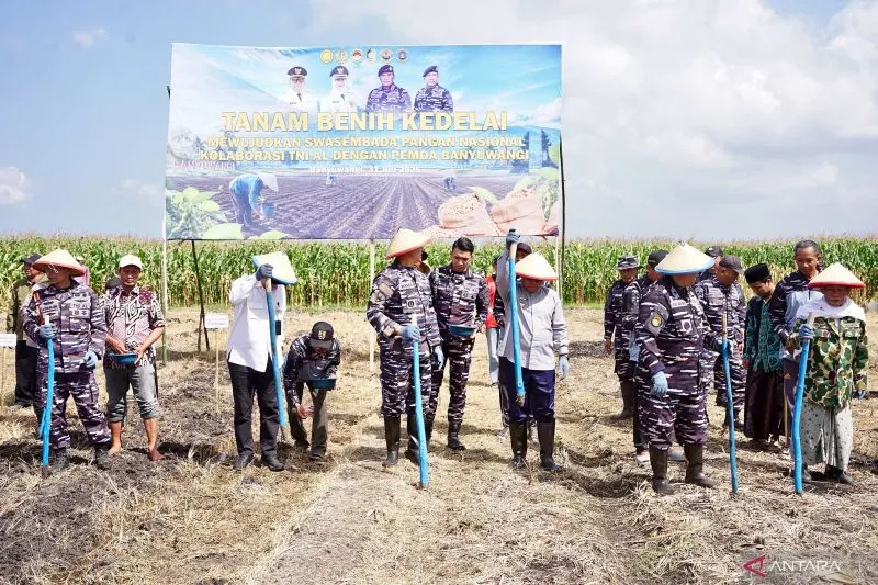 TNI AL dan Pemkab Banyuwangi Perluas Lahan Kedelai