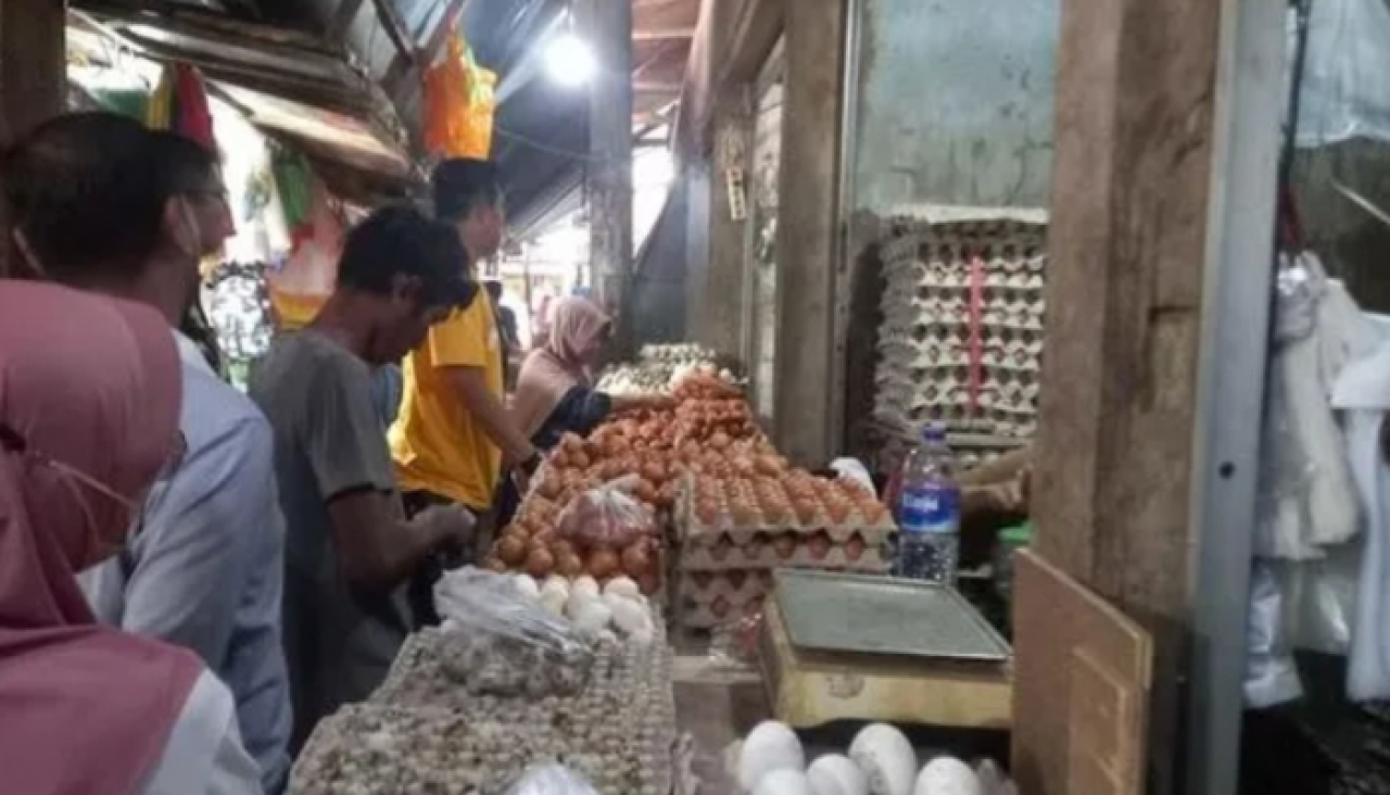 Harga Telur di Sumenep Terjun Bebas, Peternak Terhimpit Kenaikan Pakan dan Ancaman Bangkrut