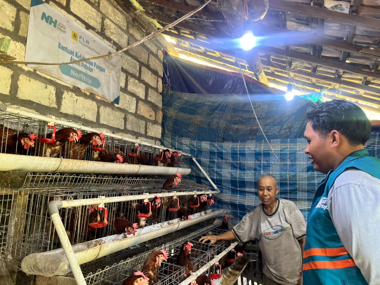 Sinergi Lazis PLN NP dan Nurul Hayat Gresik Berdayakan Guru Ngaji Lewat Bantuan Ayam Petelur