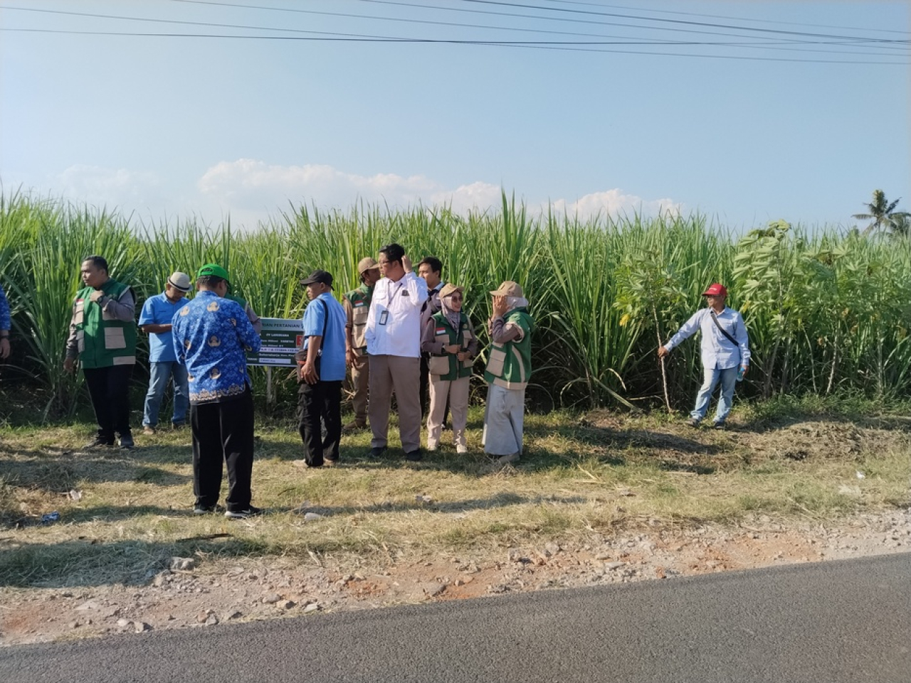 Tebu Program Ketahanan Pangan Tumbuh Subur, Petani Malang Kompak Apresiasi Pemerintah