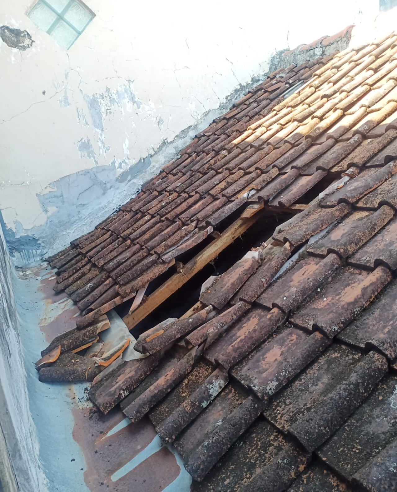 Viral Pria Telanjang Jatuh dari Atap Rumah di Jember, Polisi Pastikan Bukan Pelaku Curanmor