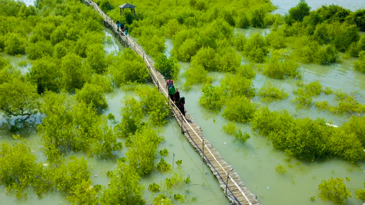 Dukung Pemulihan Ekosistem Pantai, Petrokimia Gresik Terus Kembangkan Kawasan Mangrove Mengare