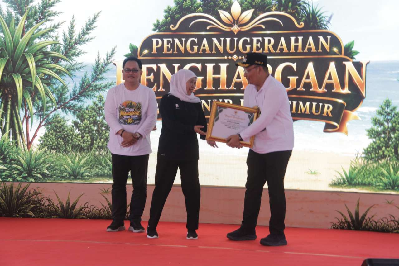 Upaya Konservasi Mangrove di Gresik Tuai Penghargaan dalam Festival Mangrove Jawa Timur