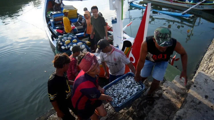 Delegasi Asean ID-BLUE Belajar Ekonomi Biru di Banyuwangi
