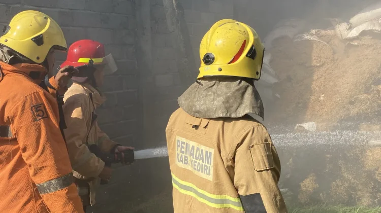 Bakar Sampah, Kandang  Ayam di Kediri Ludes Dilalap Api