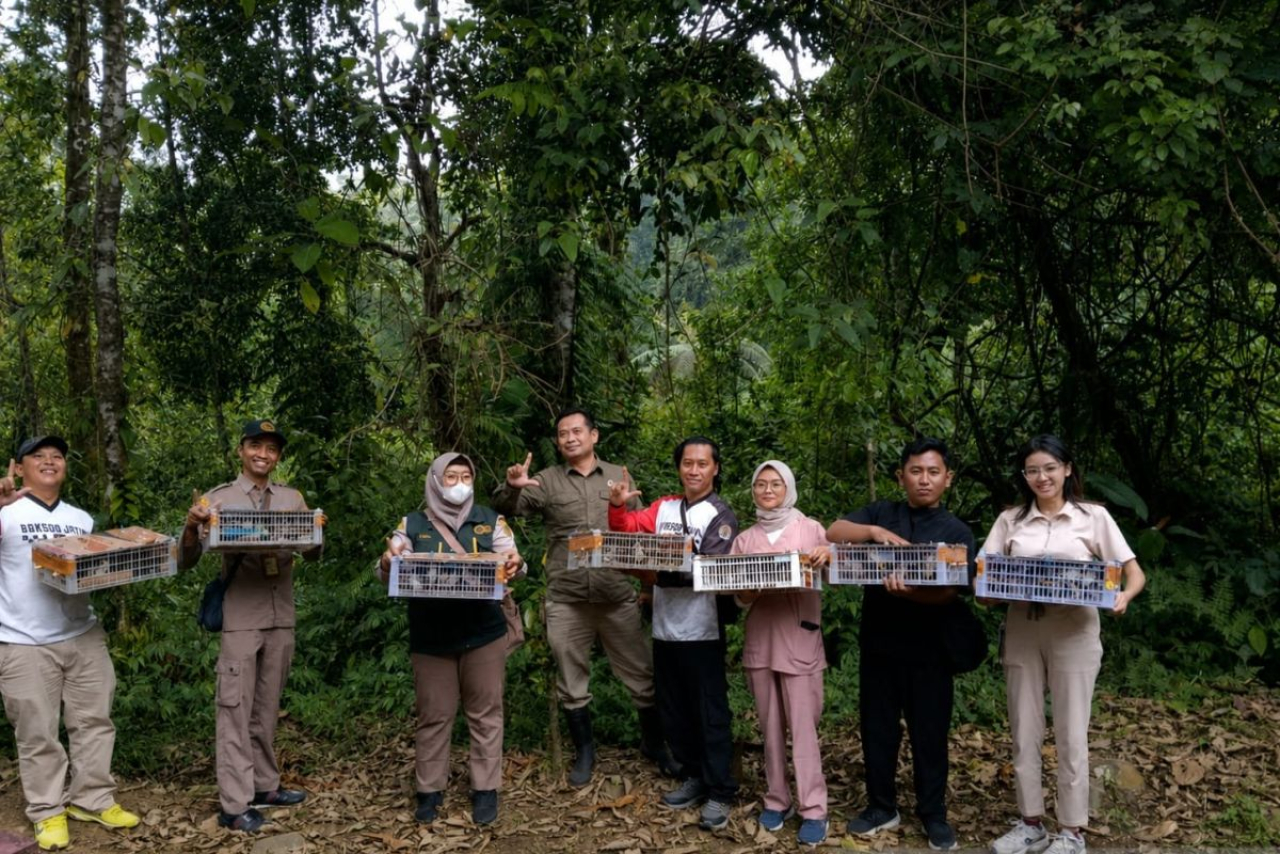 Penyelundupan 200 Burung Dilindungi Digagalkan Satuan Karantina Ketapang