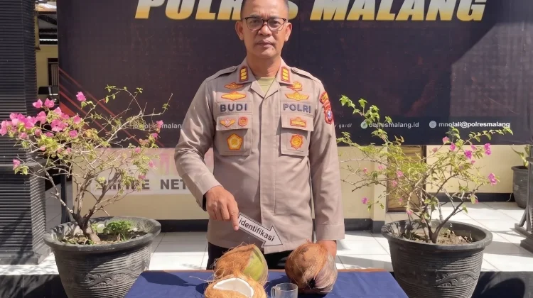 Pria di Malang Ditangkap Usai Diduga Aniaya Warga Pakai Kelapa
