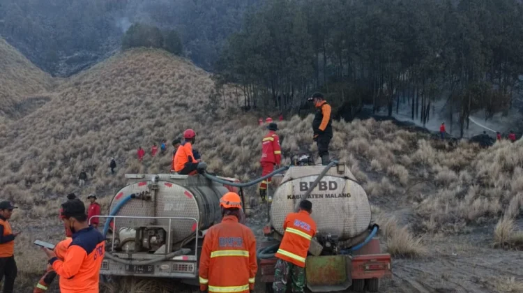 Kebakaran Hutan Lahan di Gunung Bromo Menyebar Jadi 921 Hektare